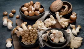 Edible and Functional Mushrooms – Which Are Best for Athletes?