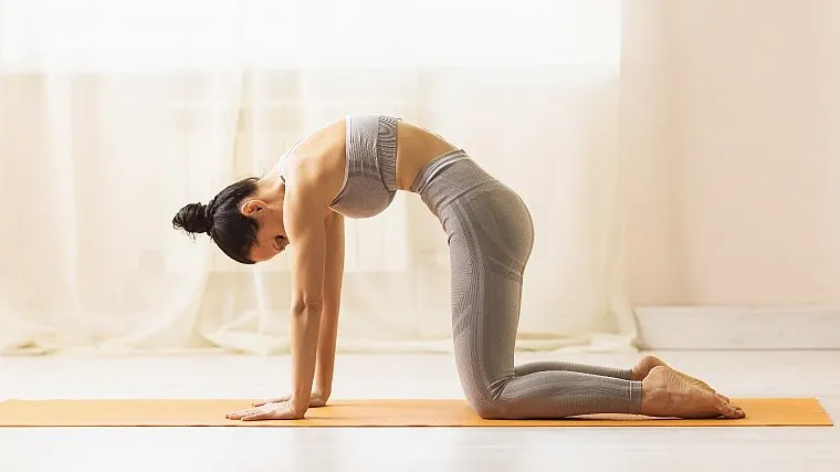 Yoga Poses For a Healthy Spine